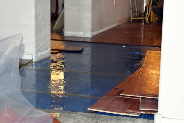 Professional Water Damage Repair technician working in White Cottage, OH